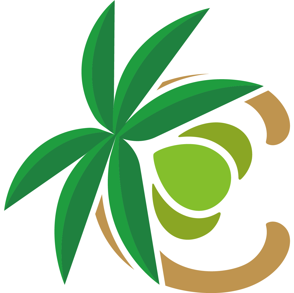 Coconut Industry Board